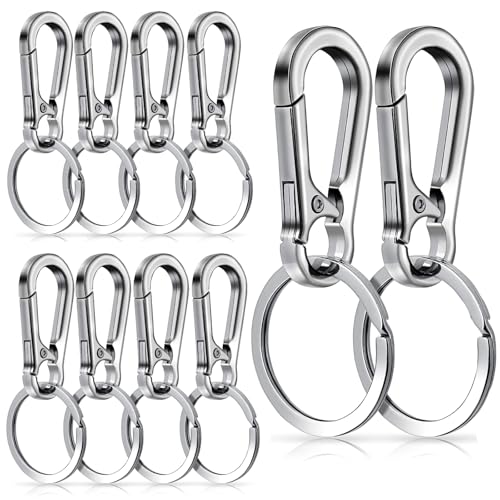 BOHUIZ 10 Packs Metal Keychain Carabiner Clip, Stainless Steel Heavy Duty Key Chain, Keyring Key Ring Chain Clips Hook Holder Key Organizer for Men Women,Silver