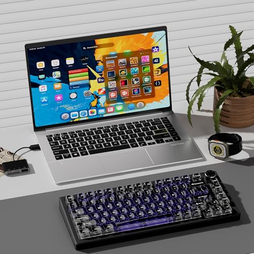 Image of dagaladoo Clear keycaps,Transparent Keyboard keycaps,Jelly Key caps Set,Shine Through keycap,MDA Profile Keyboard caps for Mx Switches Mechanical Keyboard (Purple and Grey)