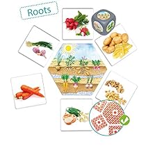 Akros-De-donde-Vienen-los-Alimentos-Multicolor-20551