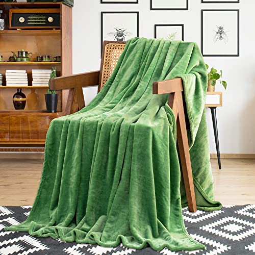 Recyco Fleece Throw Blanket For Couch, Super Soft Couch Throw Blanket For All Season, Lightweight Fuzzy Cozy Warm Green Throw Blanket For Couch Bed, Plush Blanket Throw For Sofa, Chair 50"X60" #TOP6