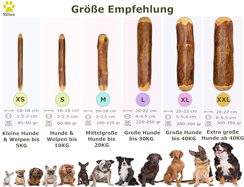 Stilux® Kauhloz aus Olivenholz für Hunde bis 5Kg, Größe XS, Kauknochen Hundespielzeug, langlebiges Holzknochen Kauspielzeug zur Hund Zahnpflege