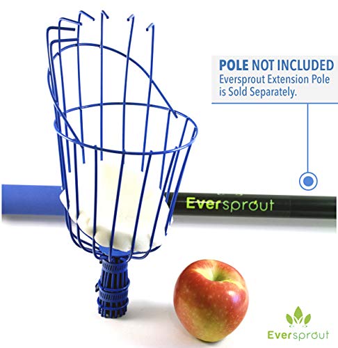 EVERSPROUT Twist-On Fruit Picker Basket, Twists onto Standard US Threaded Pole (3/4-inch ACME), Fruit Picker Head Basket, Fruit Harvesting Tool, Apple, Mango Picker etc. (Head Only, Pole Not Included) - Thumbnail 2