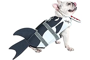 Safety First: Bulldog Life Jacket for Water-Loving Adventures