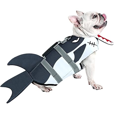 Safety First: Bulldog Life Jacket for Water-Loving Adventures