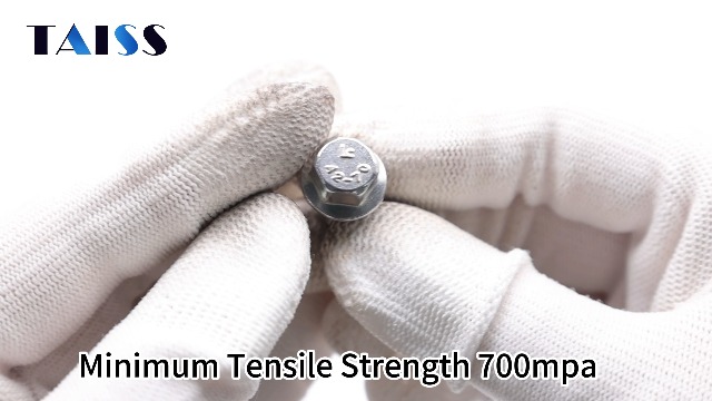 Image of Taiss 30PCS 1 /4-20 x 1 /2 Flanged Hex Head Bolts 304 Stainless Steel,Flange Hexagon Screws Fully Threaded 1 /4 Stainless Steel Bolts,1 /4 Bolt