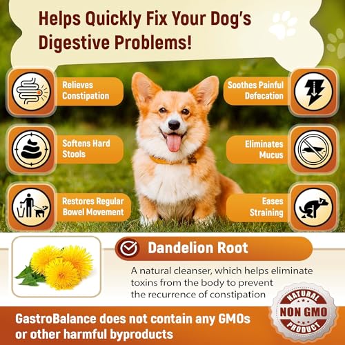 GastroBalance linderung verstopfung beim Hund – 60 weichen kausnacks abführmittel für Hunde 100% natürliche Wirkstoffe - Hühnergeschmack (English)