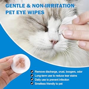 Dog Eye Wipes 300 Countcat Dog Eye Cleaner Pet Tear Stain Remover Wipes Dog Eye Cleaning Wipeseye Cleaner Pads Unscented Gentle Pet Tear Wipe  Cucciolini Doodles Dog eye wipes 300 countcat dog eye cleaner pet tear stain remover wipes dog eye cleaning wipeseye cleaner pads unscented gentle pet tear wipe   cucciolini doodles