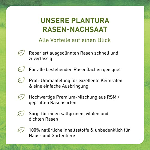 Plantura Rasen-Nachsaat, schnellkeimendes Premium-Saatgut mit Mantelsaat, 2 kg für 100 m² - Image 7
