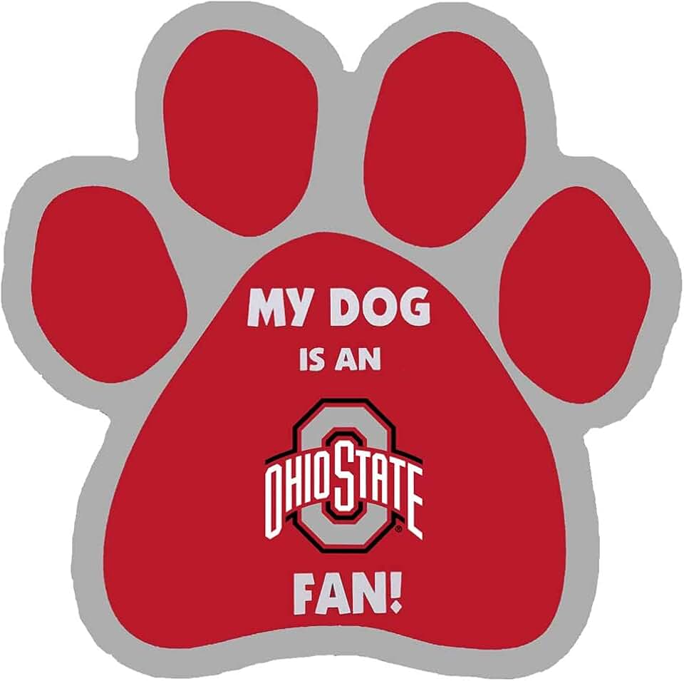 My dog картинка. стихотворение my dog. My his her your английский для детей. What your dog doing. васет хау собака.