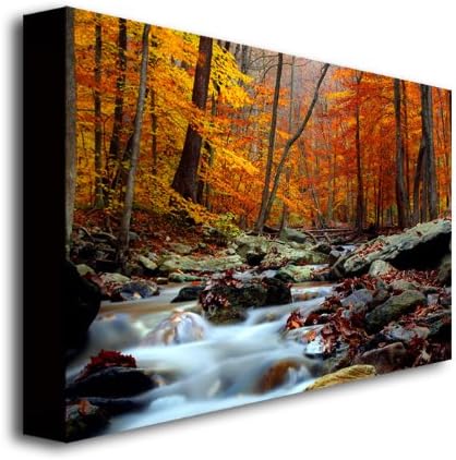 Ultimate Truth 16x24 Glossy Landscape Canvas Art