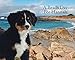A Beach Day for Hannah (Mountain Dog Books)