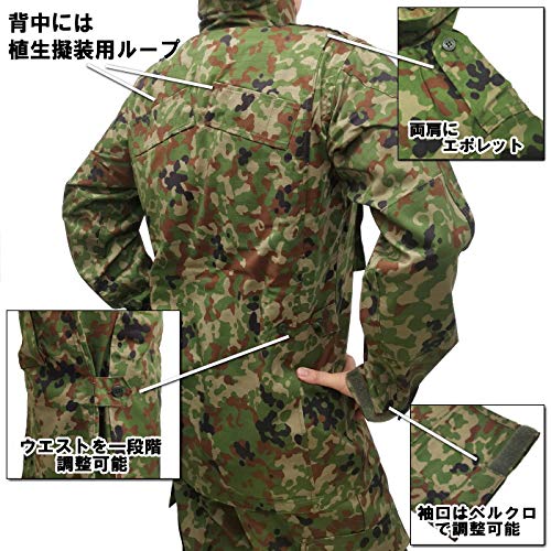 51Iy+CU3SLL.jpg