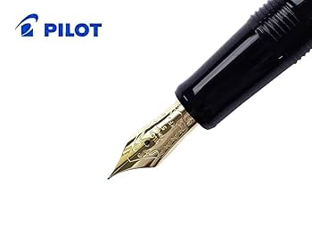 Amazon | パイロット 万年筆 平蒔絵 細字 FK-3MP-UM-F 梅