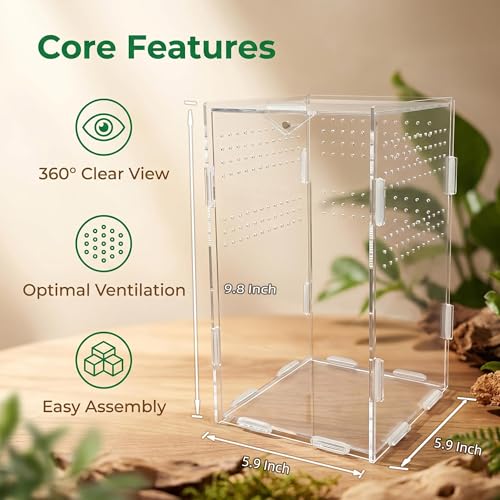 Image of Portable Travel Jumping Spider Enclosure, Acrylic Terrarium for Spider, Magnetic Lock Spider Habitat & Small Terrarium Ventilated for Tarantula,Mantis,Frog,Insect Enclosure cage (5.9x5.9x9.8 Inch)