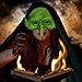 Mzztino Witch Mask Halloween Goblin Masks Scary Green Half Face Sorceress Mask for Cosplay Costume