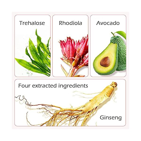 Mushroom-Head-Air-Cushion-CC-Cream-Foundation-Moisturizing-BB-Cream-Concealer-Makeup-Base-Long-Lasting-with-Mushroom-Makeup-Sponge-Easy-to-Apply Eakroo CC Cream Foundation