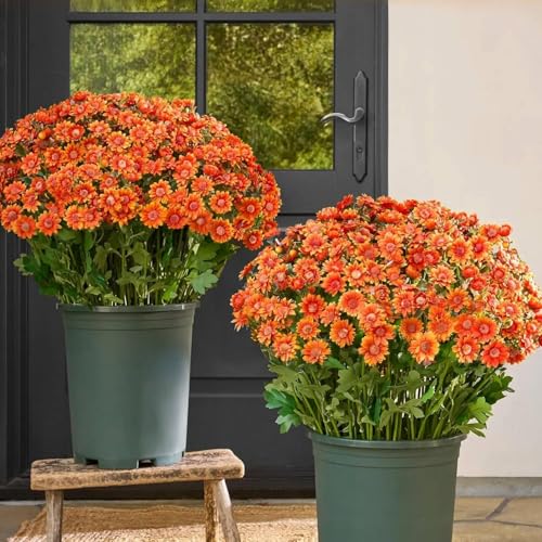 Funsdecor Artificial Mums for Fall with Flowerpot, Funsdecor Artificial Outdoor Sunset Mums Flowers for Decoration (Orange)