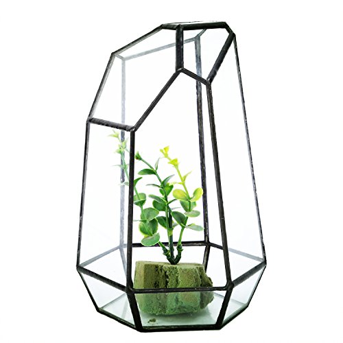 Preisvergleich Produktbild Asvert 15 cm Glas Geometrische Sukkulenten Terrarium Balkon Polyeder Unregelmäßige Pflanzen Pflanzkiste Fern Moos Display Blumentopf Indoor Outdoor Dekoration Herzstück für Hochzeit Couchtisch