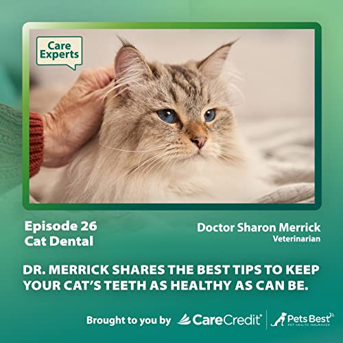 Cat Dental Dr. Sharon Merrick Care Experts with CareCredit