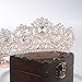 S SNUOY Rose Gold Crowns for Women Rhinestone Tiaras for Bridal Queen Crown Full Round Tiara for Women Wedding Pageant Prom Headpiece