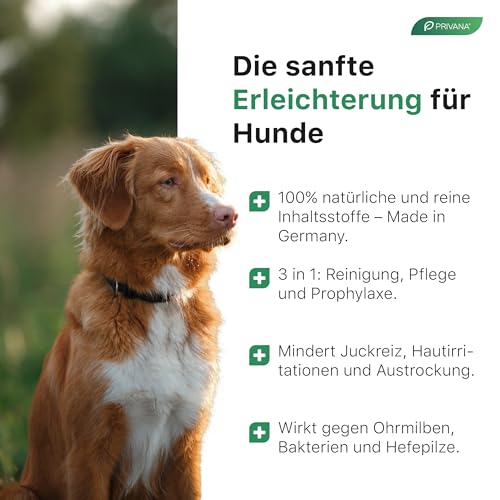 Privana Sanfter Ohrenreiniger 3-in-1 für Hunde & Katzen (100ml) – sanfte Reinigung, Haut-Pflege & Prophylaxe – bei Juckreiz, Ohrmilben, Hefepilzen