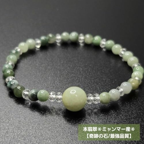 Ղ̐/ŋ{Ő*~}[Y* V R΃uXbg