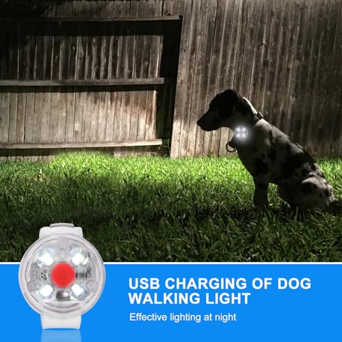 2 Stück Sicherheit Haustier Lichter, USB Wiederaufladbar LED Licht Leuchtanhänger Hund, 3 Blinkmodis Wasserdichte Blinklicht Hund für Hunde, Katzen（blau+weiß）