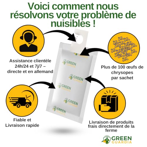 Œufs de larves de chrysopes, traitement bio anti cochenilles farineuses - 6