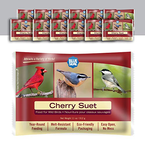 Blue Seal Cherry Suet Cakes for Wild Birds - No Mess Suet Feed, Food for Woodpeckers, Cardinals, Siskins, Sparrows & More - 11oz Suet Feeder, Bird Seed Cakes (Pack of 12)