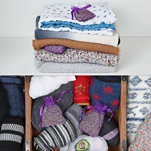 Lavodia Lavendelsäckchen mit Premium Lavendelblüten, zum Mottenschutz gegen Motten im Kleiderschrank oder als Lavendel Duftsäckchen zum Entspannen und Schlafen, 20 Lavendel Säckchen