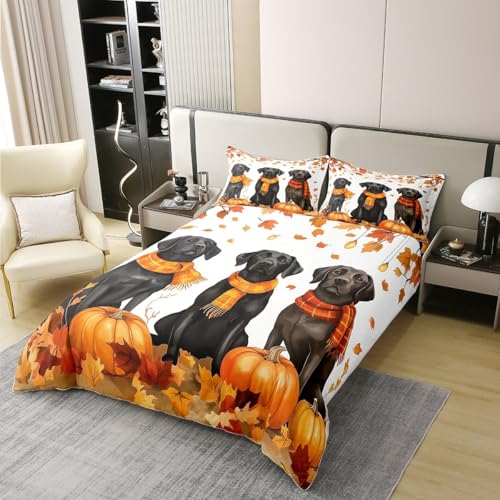 Nette Hunde 100% Baumwolle Bettdecke Set L Größe, Herbst Kürbisse Ahornblätter Bettwäsche Set, Herbst Ernte Thema Quilt Abdeckung, Kinder Jungen Mädchen Zimmer Dekor, 2 Kissendecken, Keine Decke