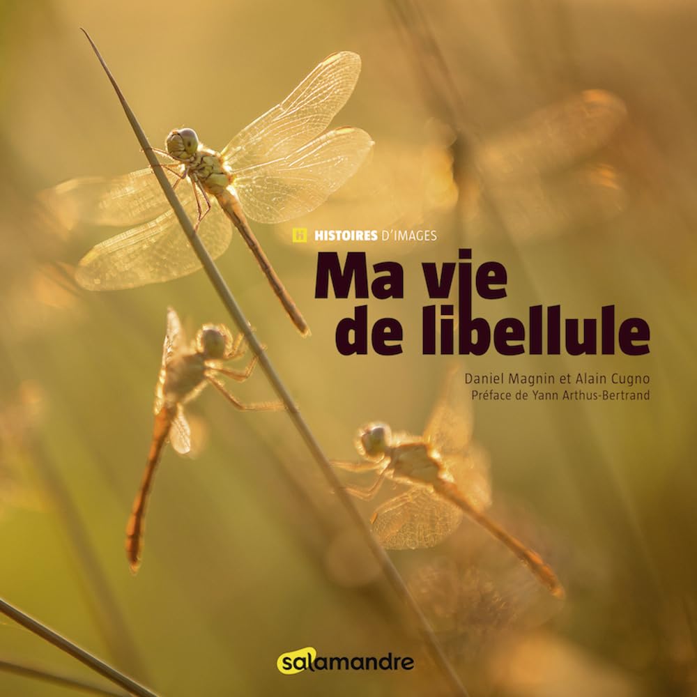 ma vie de libellule