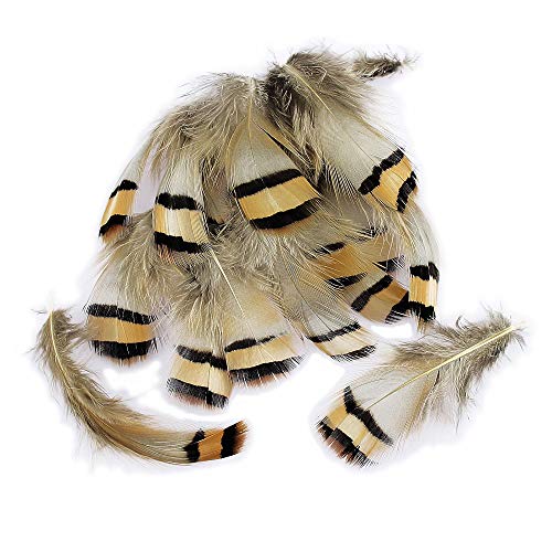 LolliBeads (TM) 20 Pcs Partridge Plumage Feathers 1.5-3 inches