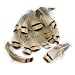 LolliBeads (TM) 20 Pcs Partridge Plumage Feathers 1.5-3 inches