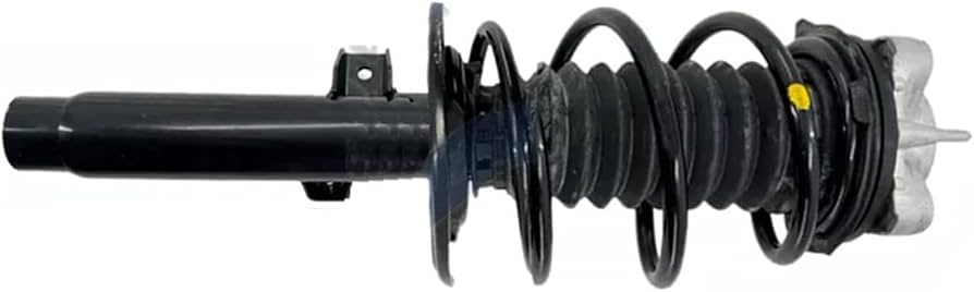 Amazon.com: YWEISPART 31316888454 Front Right Shock Absorber
