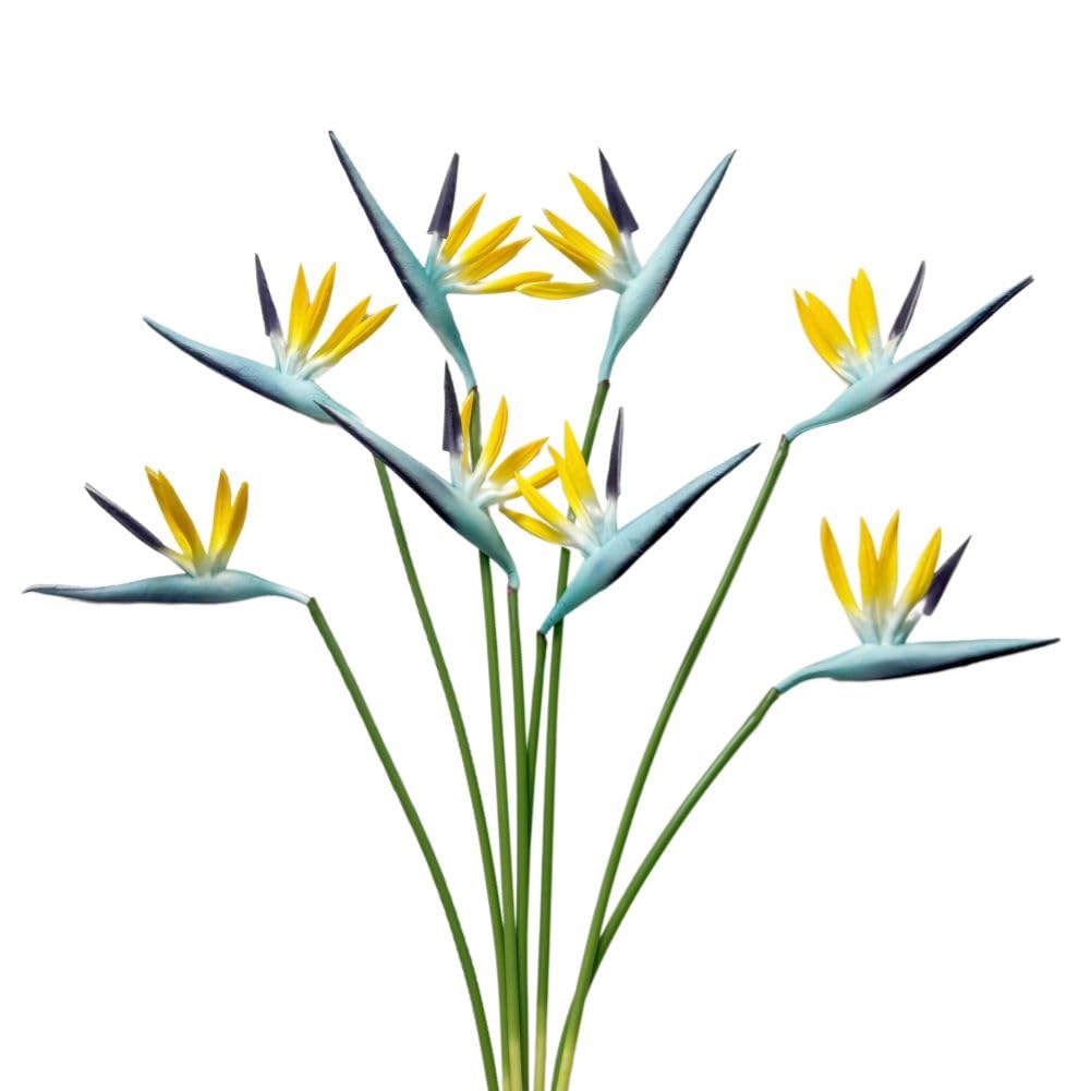 Amazon.com: DODXIAOBEUL Medium Bird of Paradise 8 Pcs 23 Inch