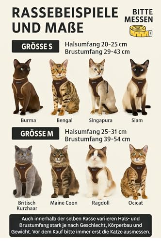 Katzengeschirr Easy Walking Katzengeschirr 2.0 ausbruchsicher, verstellbar, Nicht über Kopf Bengal, Maine Coon kleine und große Katzen (Braun, M)