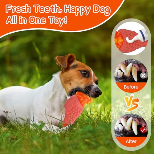 Image of WinTour Tough Dog Toys for Aggressive Chewers, Dog Chew Toys for Large Dogs, Turkey Indestructible Squeaky Dogs Toy to Keep Them Busy