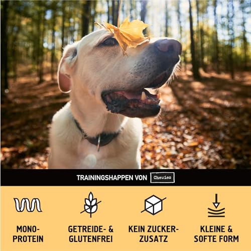 Chewies Trainingshappen Huhn - Monoprotein Snack für Hunde - 300 g - getreidefrei & zuckerfrei - Softe Leckerlies fürs Hundetraining - hypoallergen