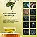 QINGSHELAO - Pure Camellia Oil | Camellia Tea Seed Oil for Cooking | Camellia Seed Oil | Vegetable Oil | Healthy & Natural & 100% Cold Pressed | Cooking Oil for Grilling Frying Cold Mixing (1L)