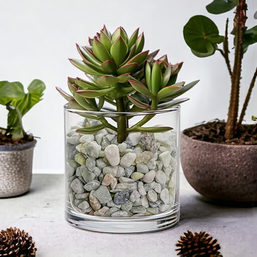 Image of 1.1 LB Natural Small Jade Gravels Mini River Rocks,Light Green Mix | Decorative Soil Cover Pebbles Stones for Succulent Plant,Planter Bonsai,Fairy Garden,Candle Home Decor