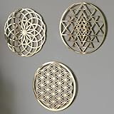 orenda design '5.9 inc Sacred Geometry Wall Art Gold 3 pcs (Flower of Life-Torus-Sri Yantra) Zen Home Decor Yoga Meditation Wall Art Spiritual Gift (Art1)