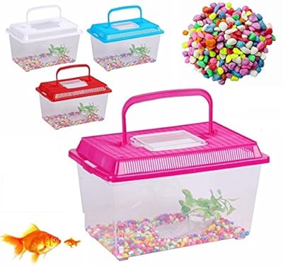 Wilsons Direct 5 Piece Plastic Aquarium Starter Insect Fish Tank Bowl Starter Kit Reptile Tank Cage Plant Accessory Coloured Stones Carry Handle Plastic Cover Carrier Assorted Colors