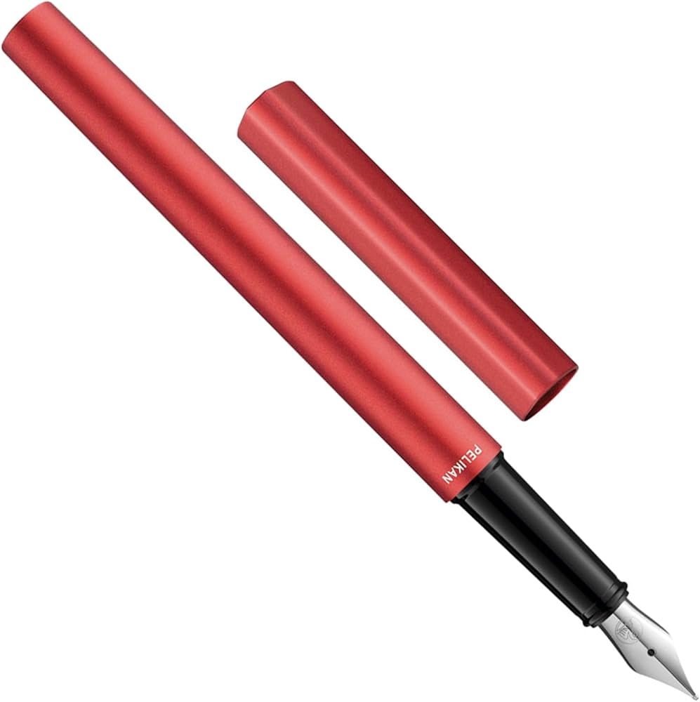 PILOT 万年筆セット ピンク 赤いケース 箱付き PILOT 万年筆セット