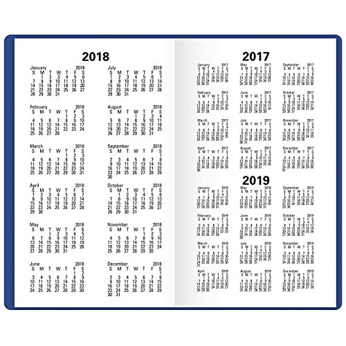 At-A-Glance Dayminder Monthly Pocket Planner, 2018, December 2017 - January 2019, 3-5/8" X 6-1/16", Color Will Vary (Sk5310) #TOP6