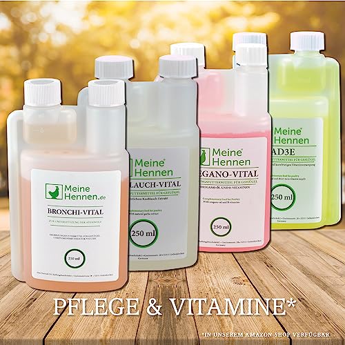 MeineHennen Bronchi-VITAL 250 ml, Ergänzungsfuttermittel mit Eukalyptus-Öl und B-Vitaminen für Hühner, Tauben und Wachteln. Für Ihr Geflügel zur Unterstütung der Atemwege bei Hühnern.