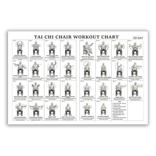Tai Chi Chair Workout Poster 16x24