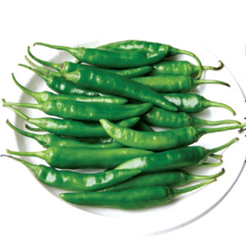 yRz hq (؍Y/500g)@①֔@h@؍A