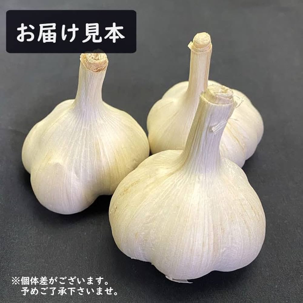Amazon | 種にんにくホワイト6片 5球 種球 青森 ニンニク 青森
