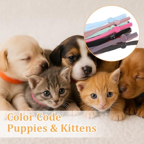60 Stück Welpenhalsbänder Für Züchter Kitten Halsbänder 15 Farben Welpen Id Halsbänder Soft Welpenhalsband Mehrfarbige Verstellbare Wurfhalsbänder Für Neugeborene Welpen Kätzchen Haustiere 11,2 cm
